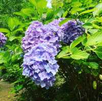 みのかも健康の森