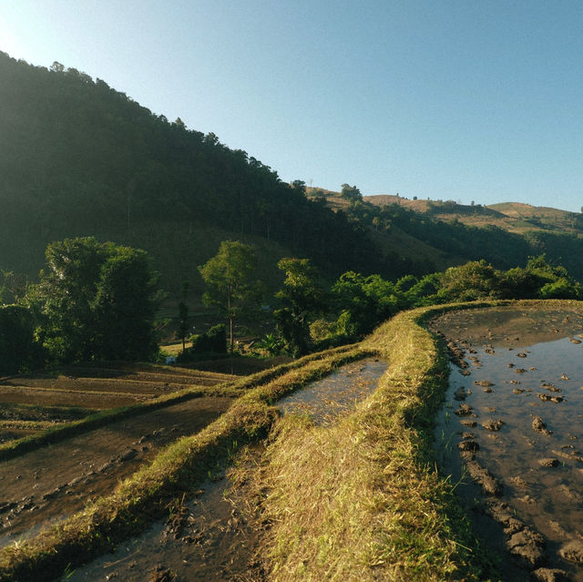 Kowit Farmstay แม่แจ่ม จ.เชียงใหม่ 