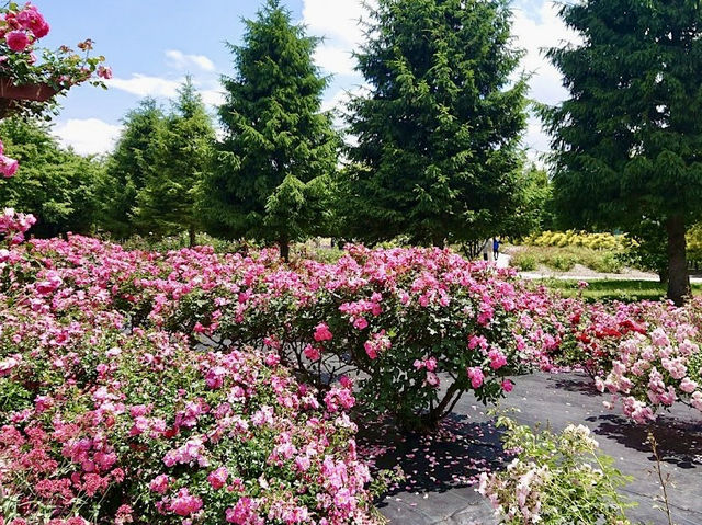 Shinshu Sky Park