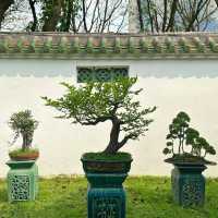 澳門花城公園：花海中的寧靜與美麗 🌺🌳