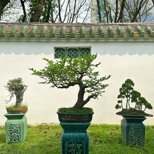澳門花城公園：花海中的寧靜與美麗 🌺🌳