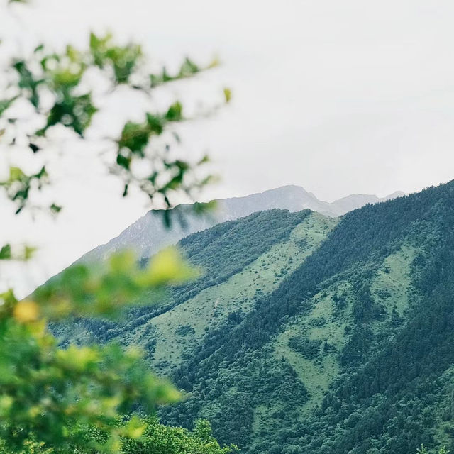 阿公店森林公園：大自然的寶藏與休憩之地 🌳🌿