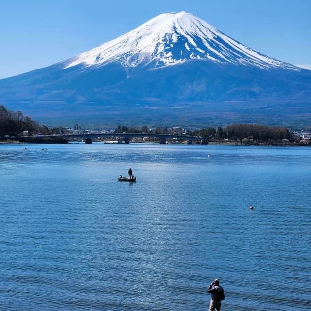 Lake Kawaguchi 🌸