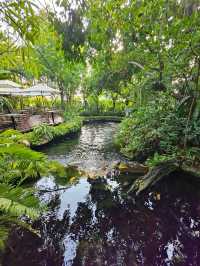 ร้านเฟอเรท คาเฟ่นนทบุรี