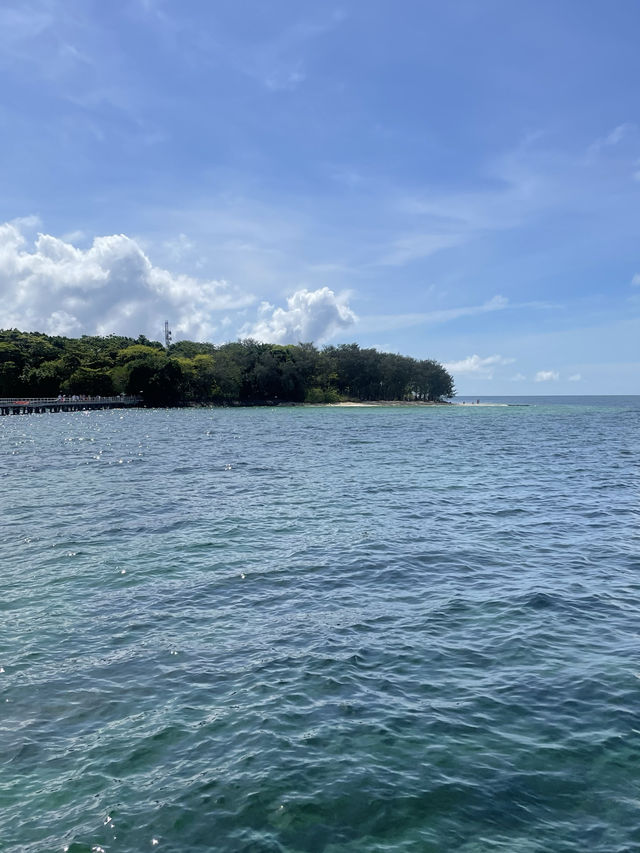 【🇦🇺】グリーン島🏝️💚 Green Island 
