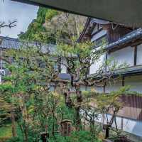 深田氏庭園：江戶時代傳統園林，春天好去處