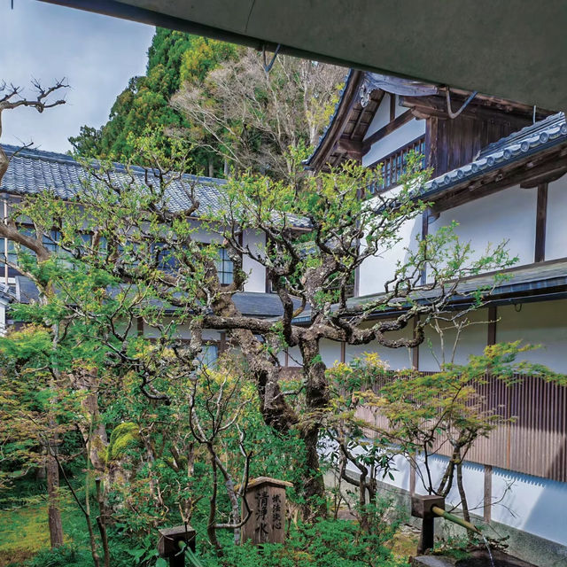 深田氏庭園：江戶時代傳統園林，春天好去處