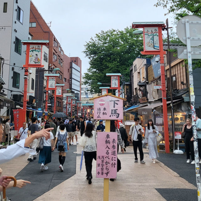 도쿄에서 제일 인기있는 관광지 아사쿠사 센소지🏯