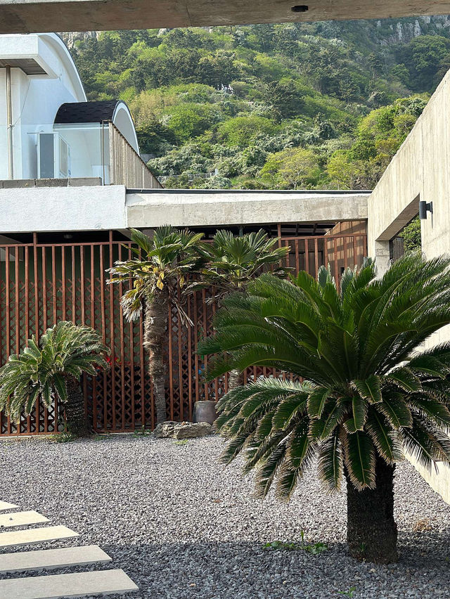 🍊🏡제주 유채꽃 명소 소색채본 카페