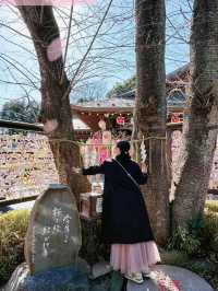 【千葉】絶対に行ってほしい!!桜だらけのかわいすぎる神社🌸今話題のレースお守りも🤍