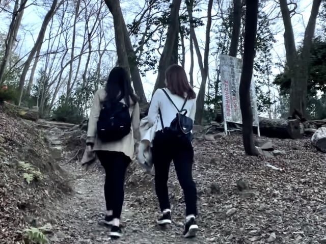 【京都】京都を一望できる山にプチトレッキング