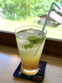 【福岡カフェ】坂を登ると緑に囲まれた小さな癒しカフェがあるよ🌿