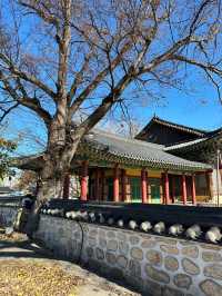 【韓国】韓国の伝統の建築を見ることができる場所
