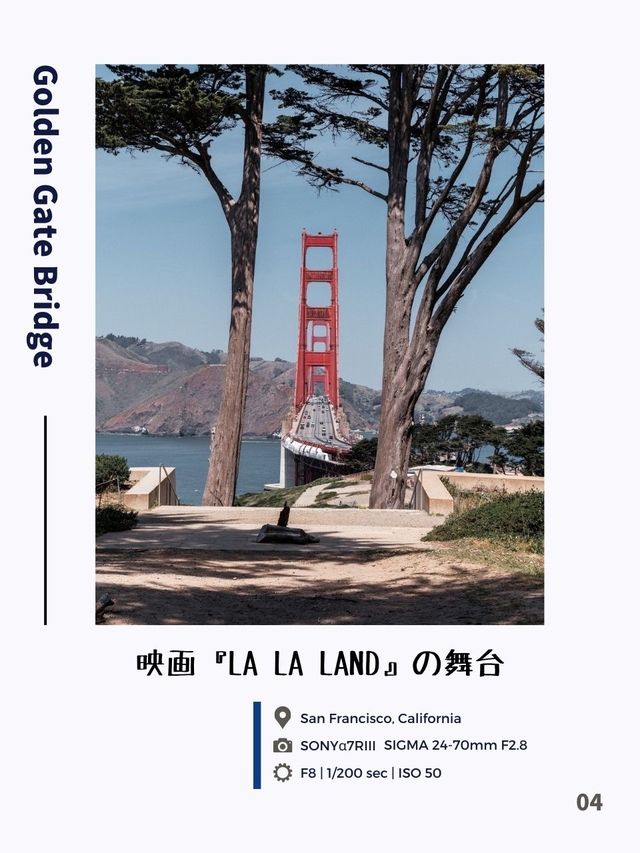 【雑誌風】カリフォルニアおすすめ観光/写真スポット5選！FOCUS Vol.029