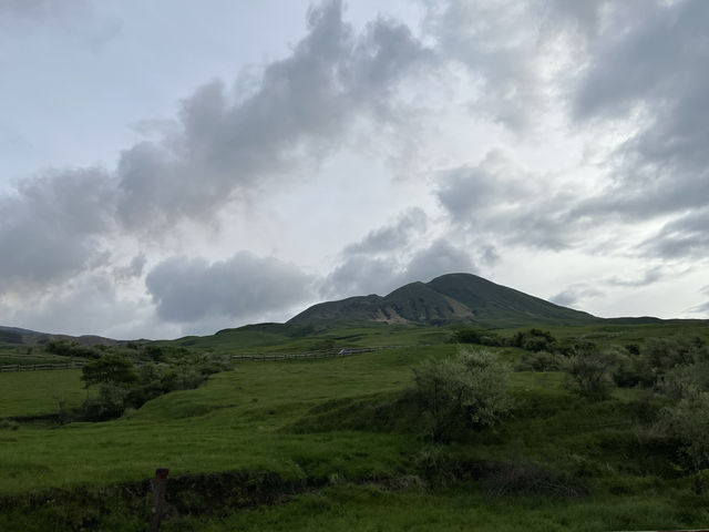 【熊本】大自然に癒される阿蘇の旅