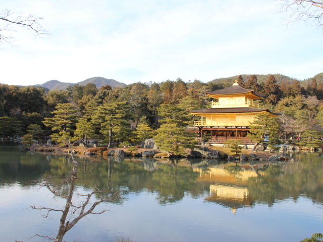 Golden Pavilion of Kyoto 🇯🇵