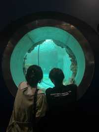 ย้อนเวลาไปเที่ยวบางแสน🐬🐟🐠