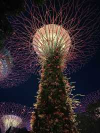 🇸🇬 Supertree Grove at Gardens by the Bay: A Futuristic Botanical Experience