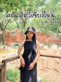 ไปดูสัตว์ที่สวนสัตว์เชียงใหม่