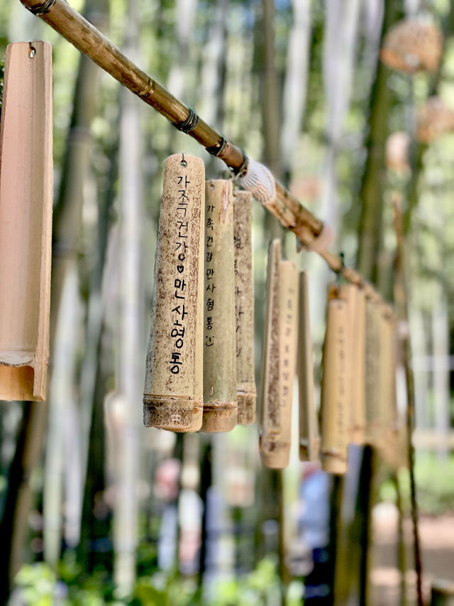 🎋 인생 첫 담양 여행 죽녹원 다녀왔어요!💚