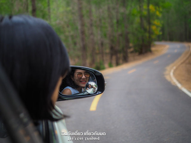ป่าสนเหมืองแร่ เงียบสงบ ถ่ายรูปสวย