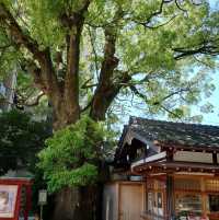 岡崎十二社巡り「菅生神社」