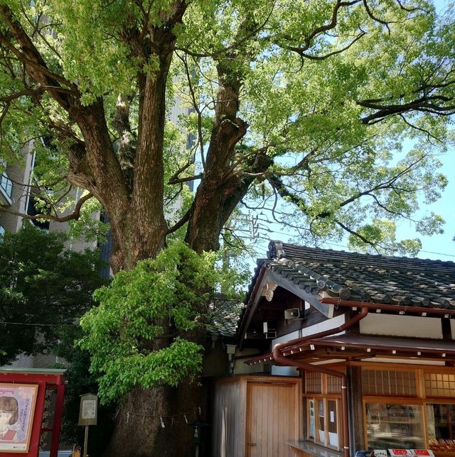 岡崎十二社巡り「菅生神社」