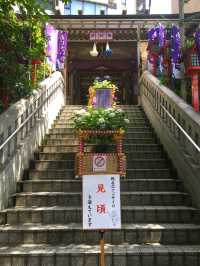 【集財祭/東京都】境内にあふれる見頃の紫陽花