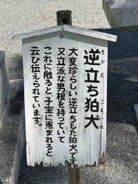 【福岡神社】子宝にご利益があるといわれる狛犬がいる神社