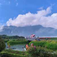 Breathtaking View Of Ulun Danu Beratan Temple