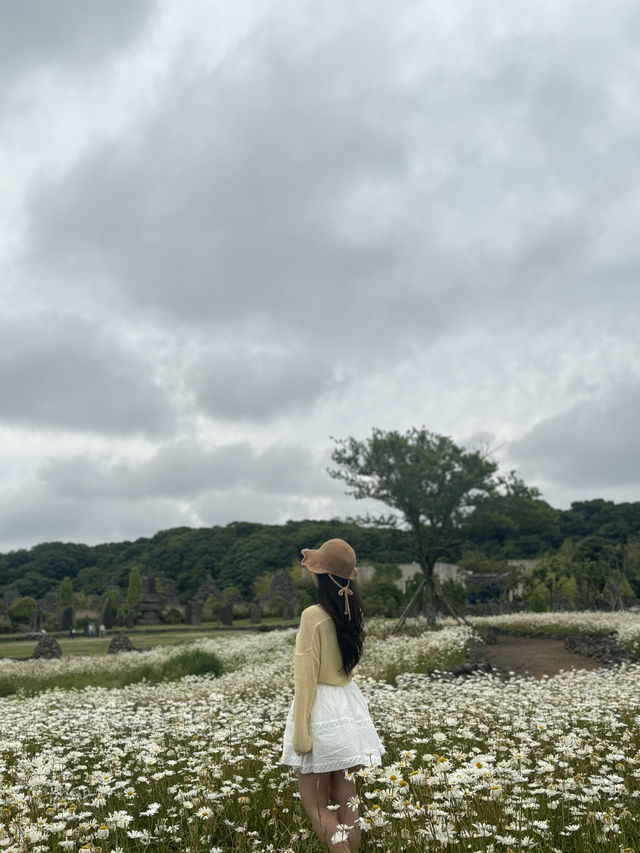 구경거리 포토스팟이 가득한 제주 동쪽 돌문화공원 ✨