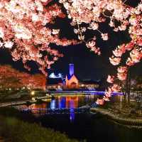 Nabana no Sato Winter 
