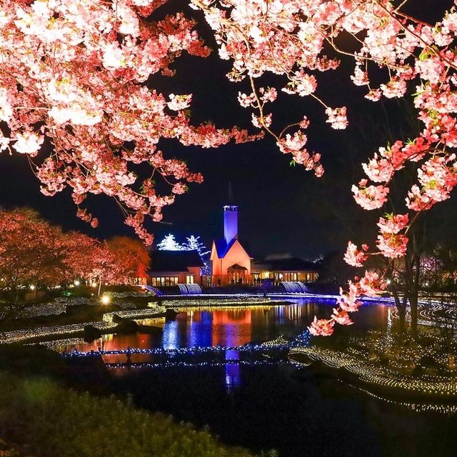 Nabana no Sato Winter 