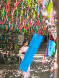 2500個の風鈴の音色が涼しげな『かえる寺」🐸
