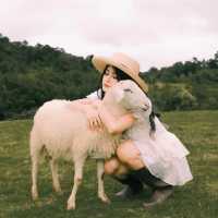 Maekee Sheep House