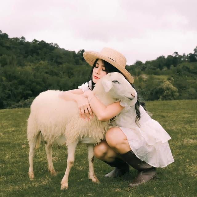 Maekee Sheep House