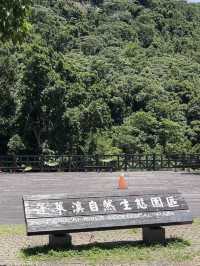 苗栗南庄 老少咸宜 親民步道！