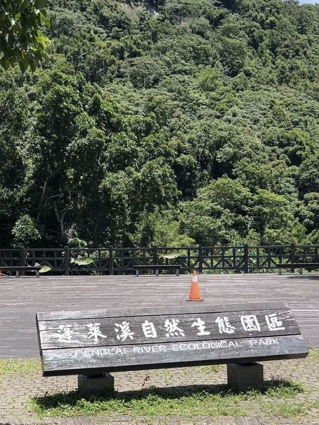 苗栗南庄 老少咸宜 親民步道！