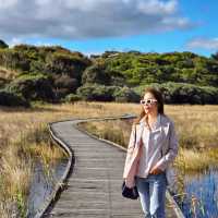 Princetown Wetlands Boardwalk