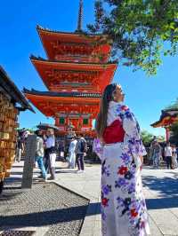 Beautiful Kyoto 🌸✨