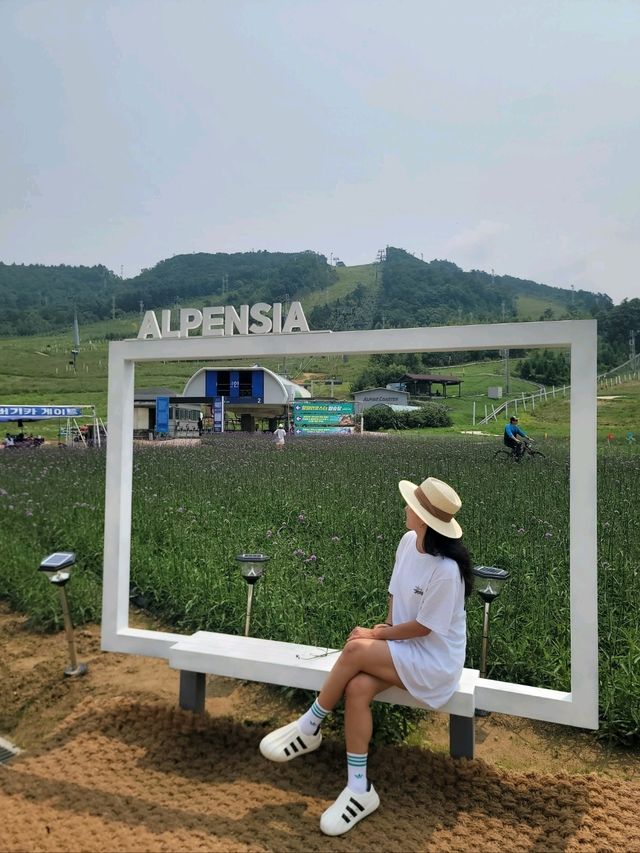 여름에도 싱그러운 평창 호캉스명소💚
