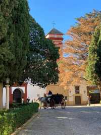 💕Radiant streets of Ronda and a Magnificent square and Cathedral💙 Must-Visit in Ronda✨