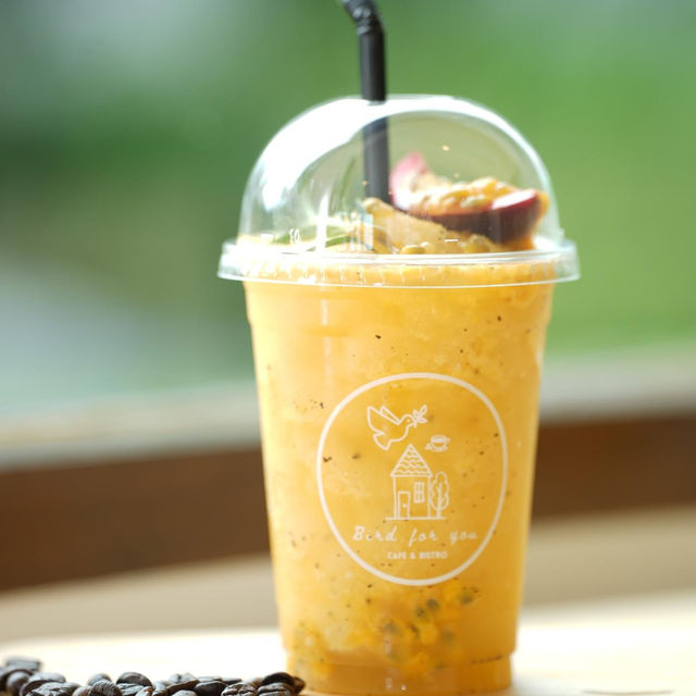 Bird for you cafe🦜