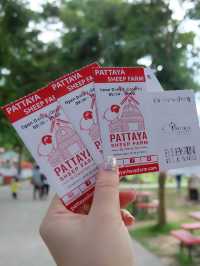 พาครอบครัวเที่ยวฟาร์มแกะพัทยา … สนุกมาก