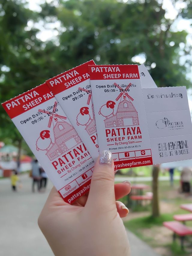 พาครอบครัวเที่ยวฟาร์มแกะพัทยา … สนุกมาก