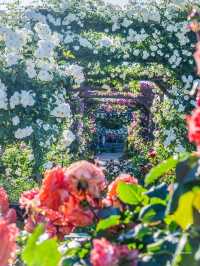 〜大阪府〜3500株の薔薇が咲き誇る大阪長居植物園！