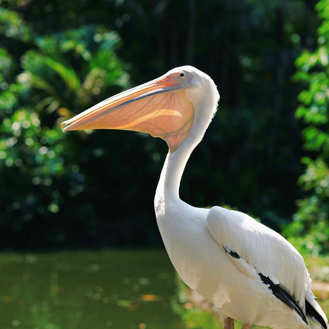 馬來西亞國家動物園：親近自然，享受歡樂氛圍！