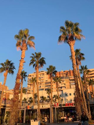 🌴Enjoy the Sunset Sky in Malaga Pier🌴A Must Visit✅