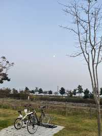  📍씨사이드파크 Seaside Park 