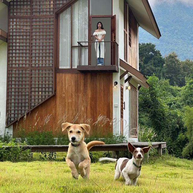 เชียงดาวน่ารักเสมอ :⛰️)